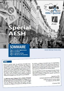 SB spécial AESH